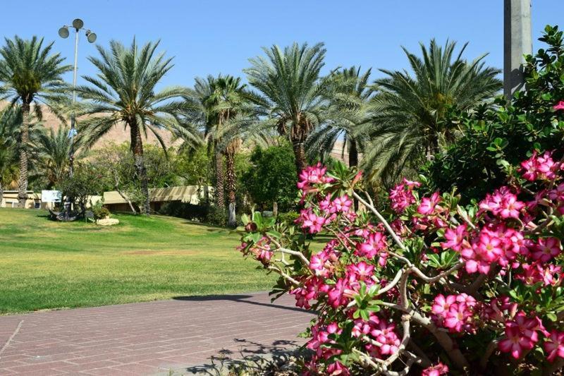 כפר נופש קלי"ה ים המלח Hotel Kalia Bagian luar foto