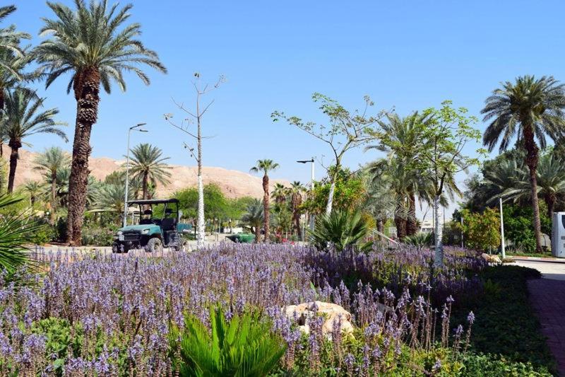 כפר נופש קלי"ה ים המלח Hotel Kalia Bagian luar foto